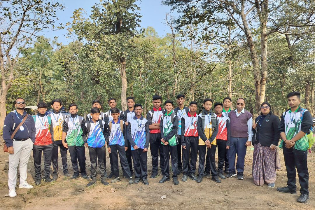 Forest walk 2024
