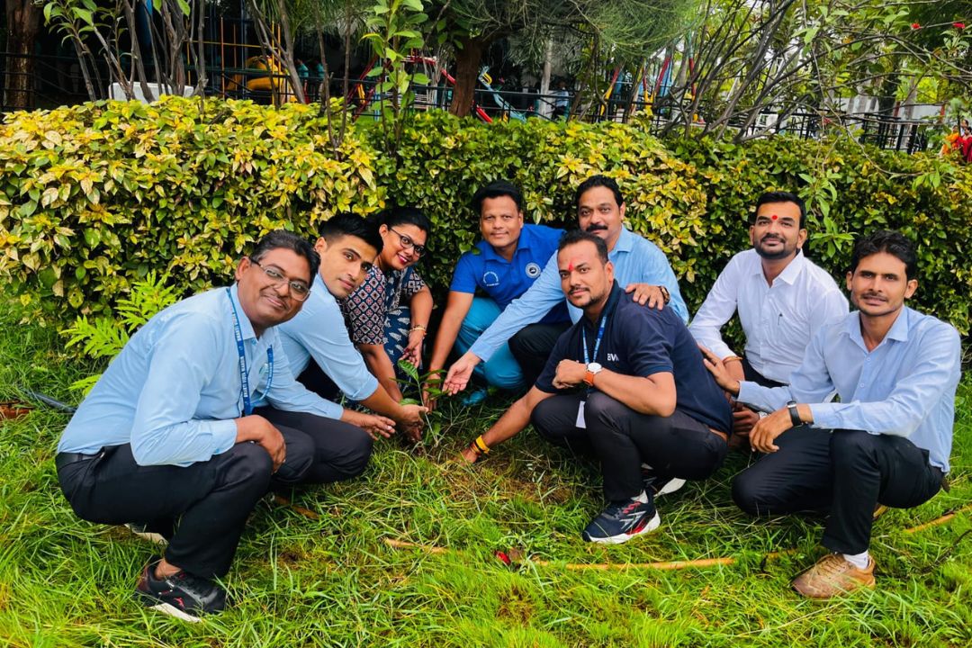Plantation Activity 2026